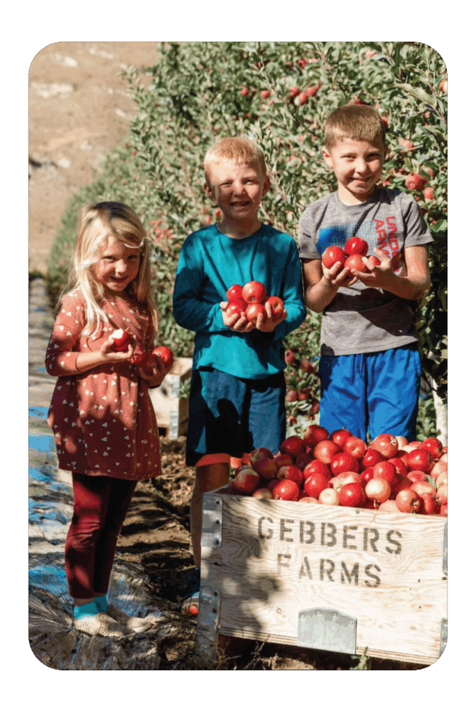 kids in rockit apple orchard